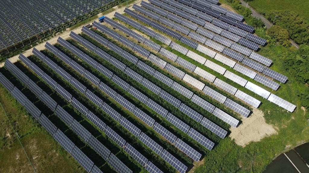 嘉義大林農電共生追日系統台糖示範案場
