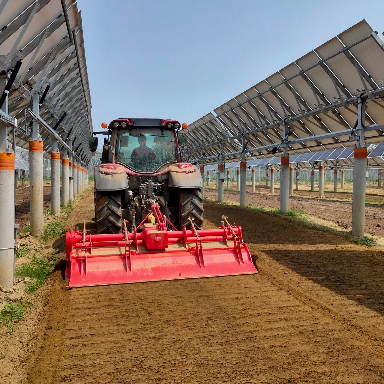 農電共生案場實景：曳引機於抬升式太陽能支架下進行整地作業
