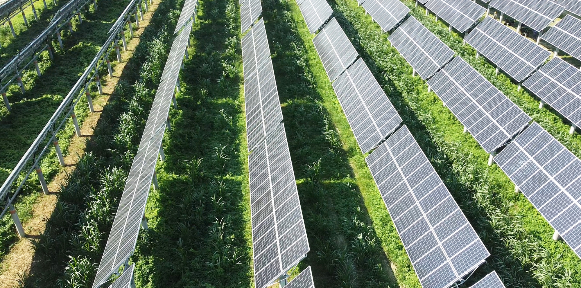 綠源科技大型太陽能與智慧儲能系統建置實績