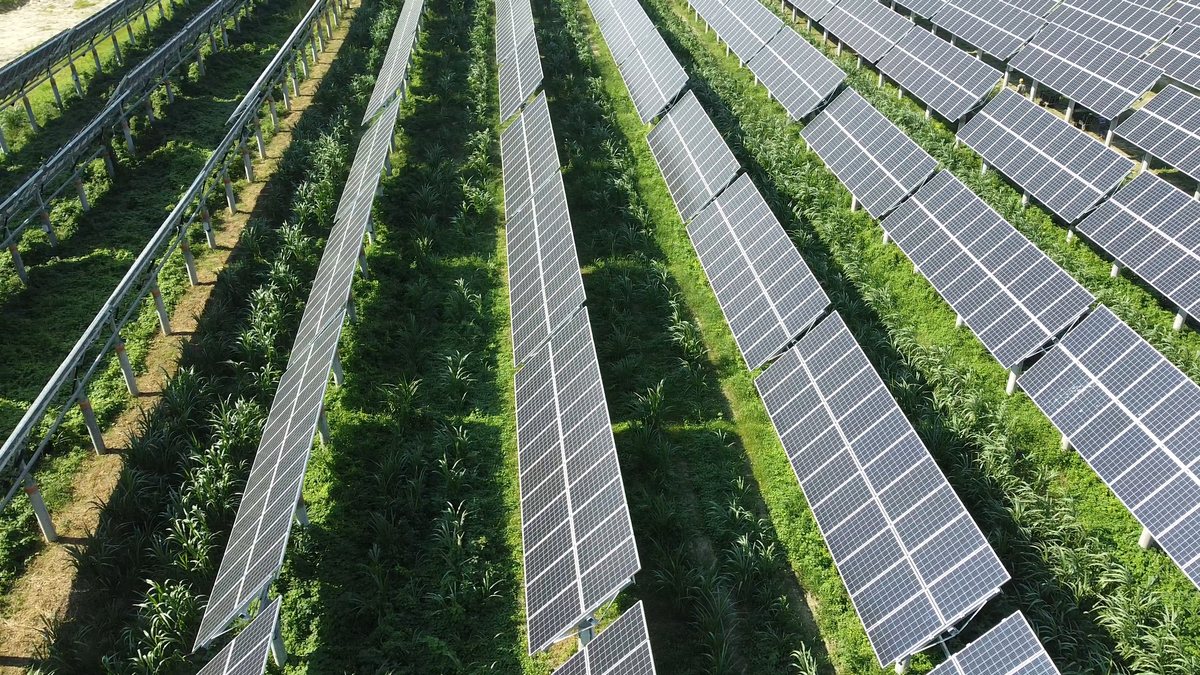 農電共生地面型追日光電案場空拍實景